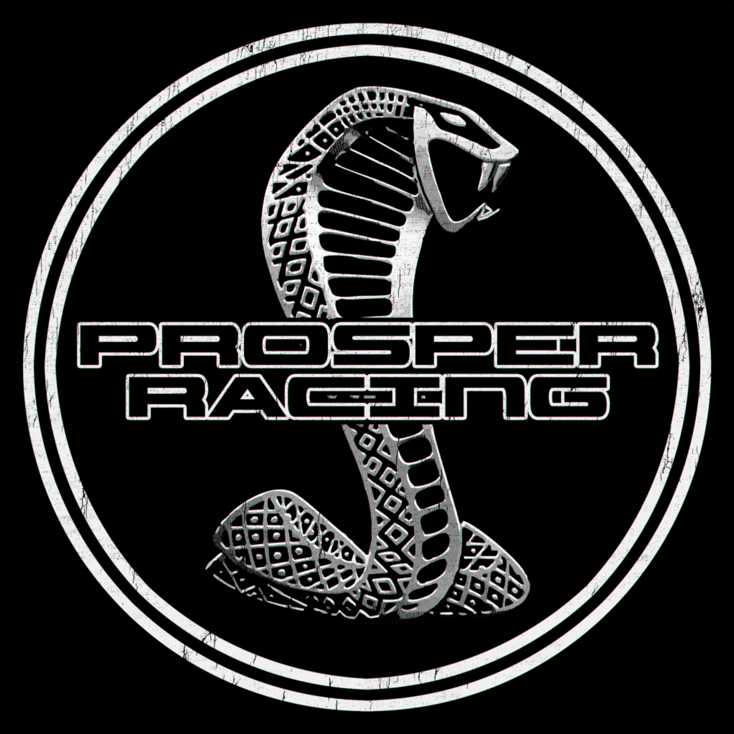 Prosper Racing x Shelby
